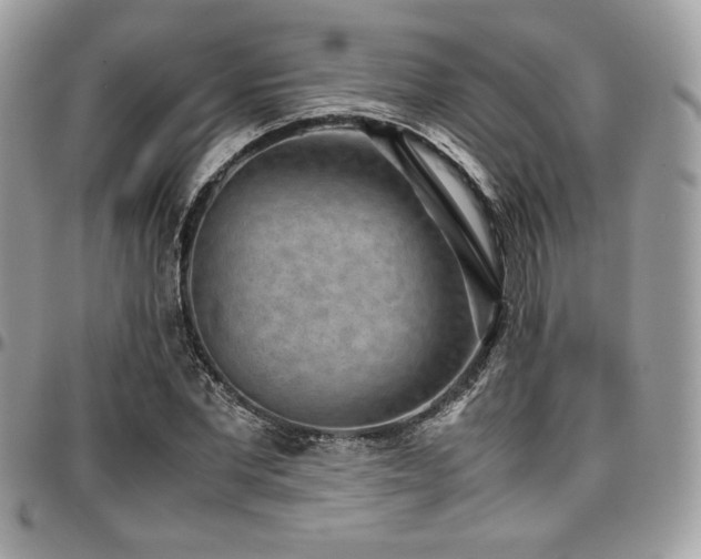 X0000097300877200802151436