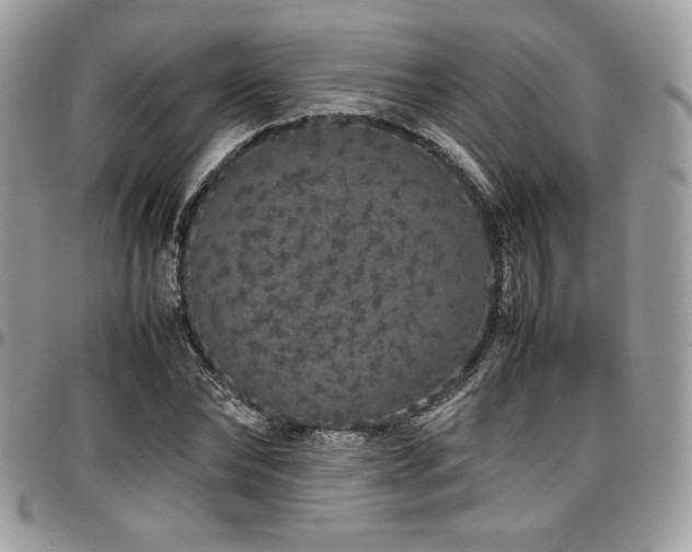 X0000097300878200802151436