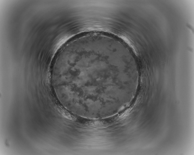 X0000097300879200802151436