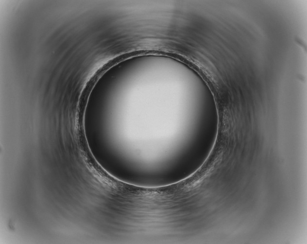 X0000097300880200802151436