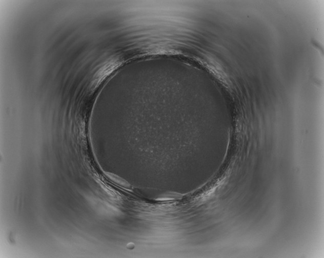 X0000097300881200802151436