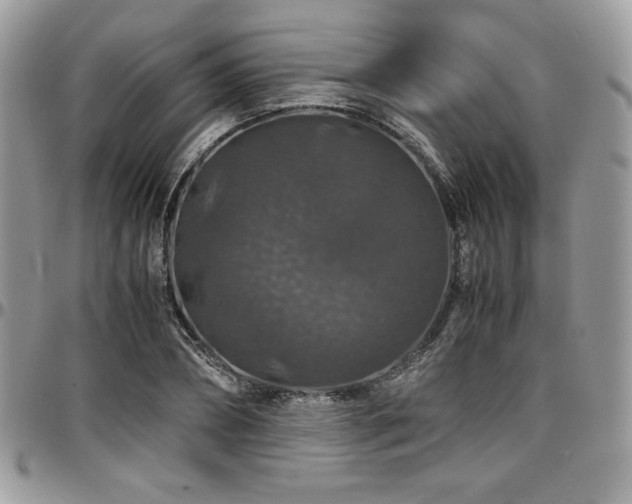 X0000097300882200802151436
