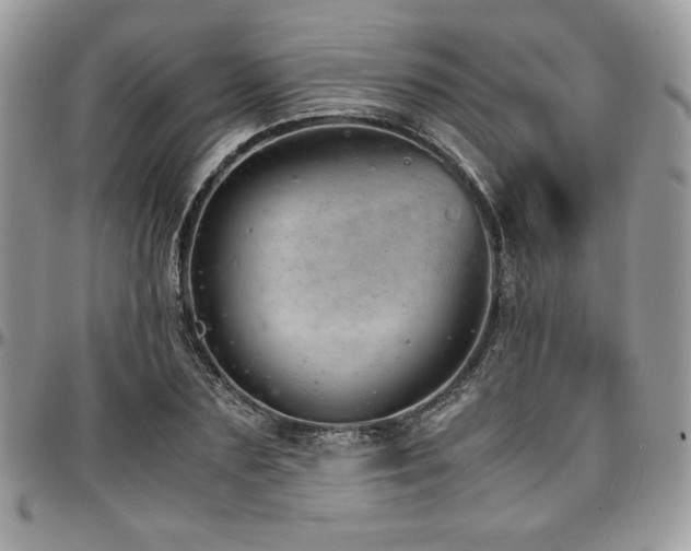 X0000097300883200802151436