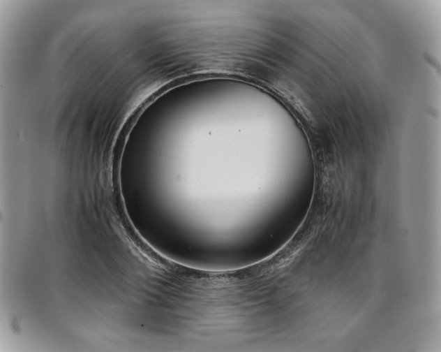 X0000097300884200802151436