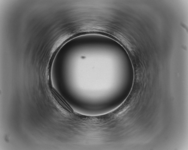 X0000097300885200802151436