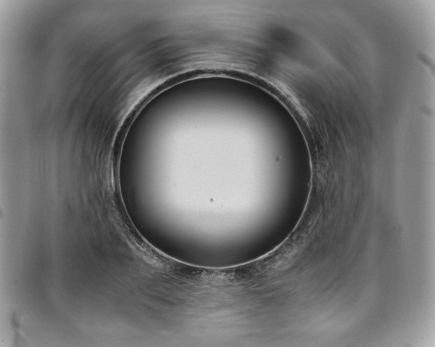 X0000097300887200802151436