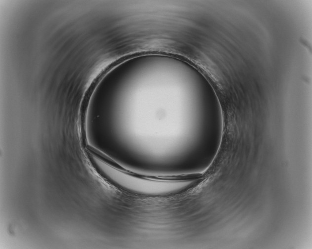 X0000097300888200802151436