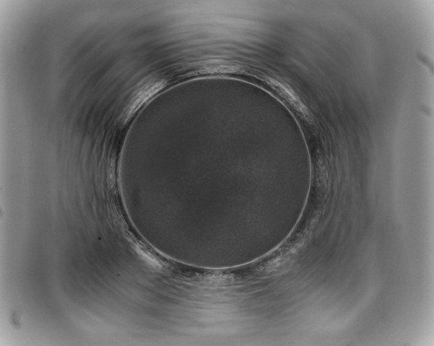 X0000097300889200802151436