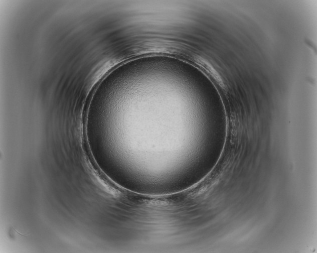 X0000097300890200802151436
