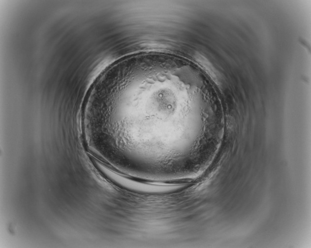 X0000097300891200802151436