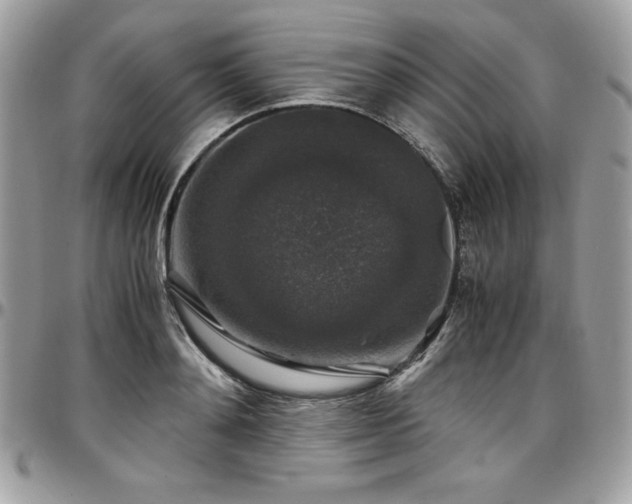 X0000097300892200802151435
