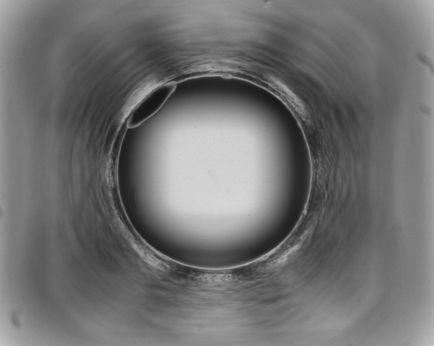 X0000097300893200802151435