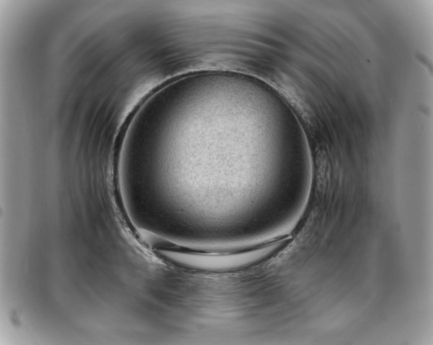 X0000097300896200802151435