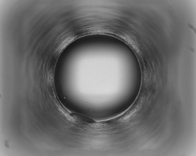 X0000097300897200802151435