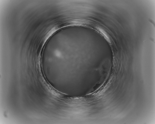 X0000097300899200802151435