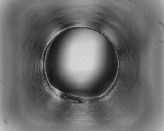 X0000097300900200802151435