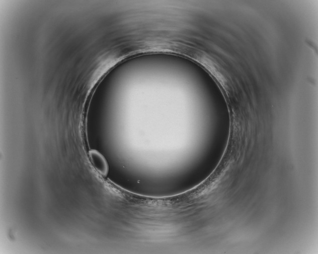 X0000097300901200802151435