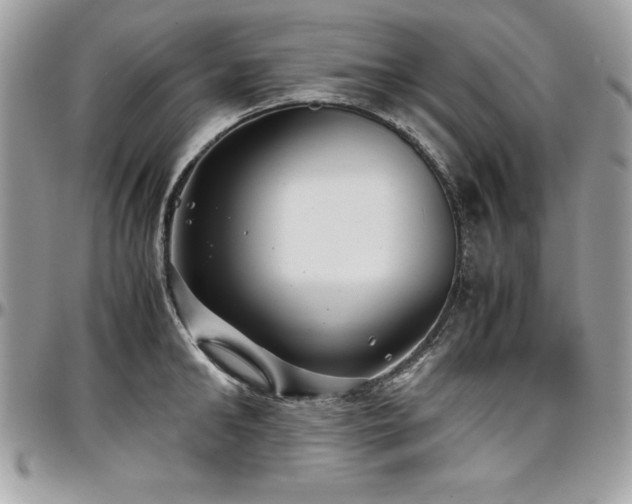X0000097300902200802151435