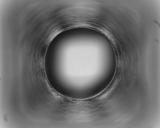 X0000097300905200802151435