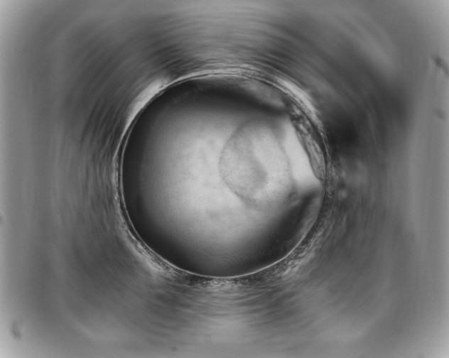 X0000097300907200802151435