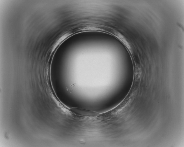 X0000097300909200802151435