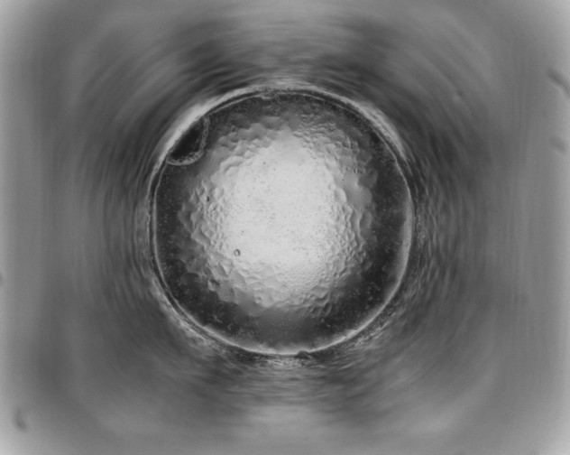 X0000097300911200802151435