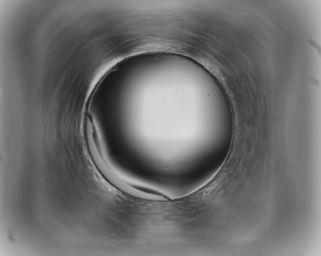 X0000097300912200802151435