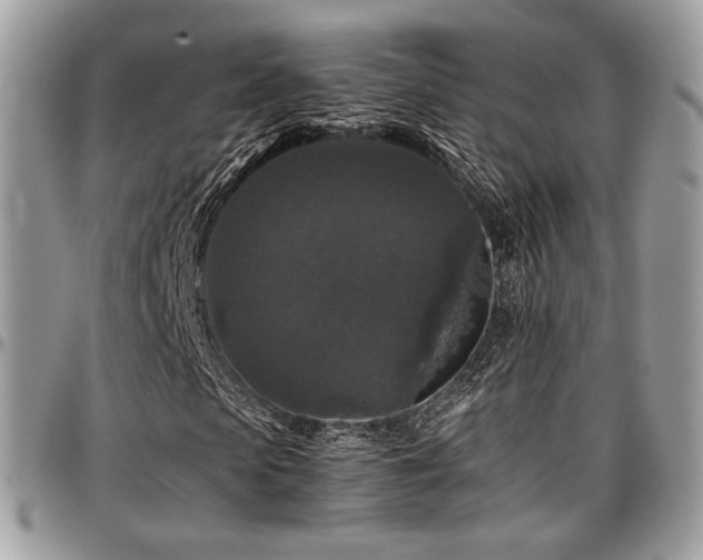 X0000097300913200802151434