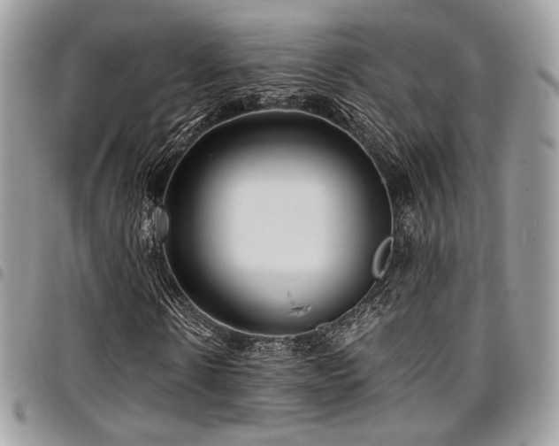 X0000097300914200802151434