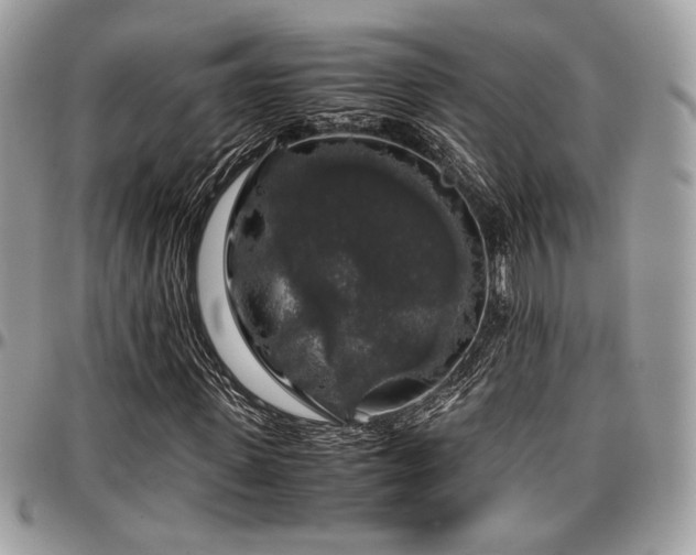 X0000097300915200802151434
