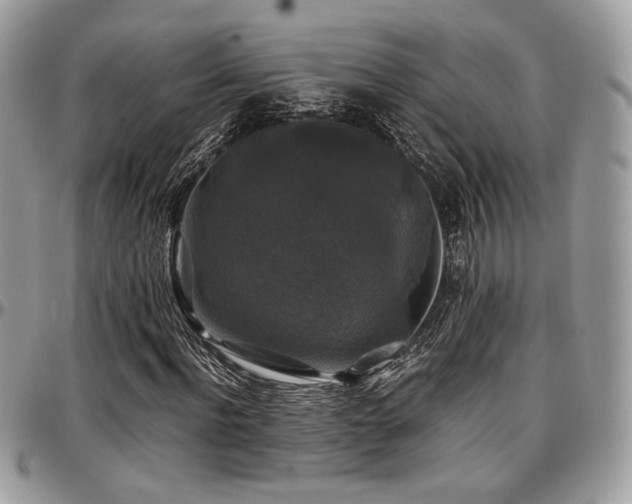 X0000097300916200802151434