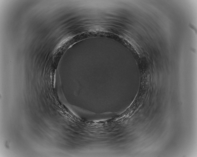 X0000097300919200802151434