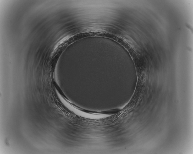 X0000097300920200802151434