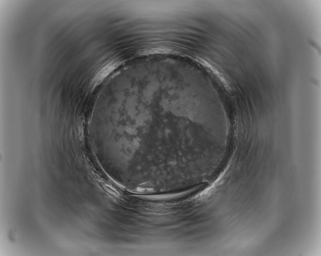 X0000097300921200802151435