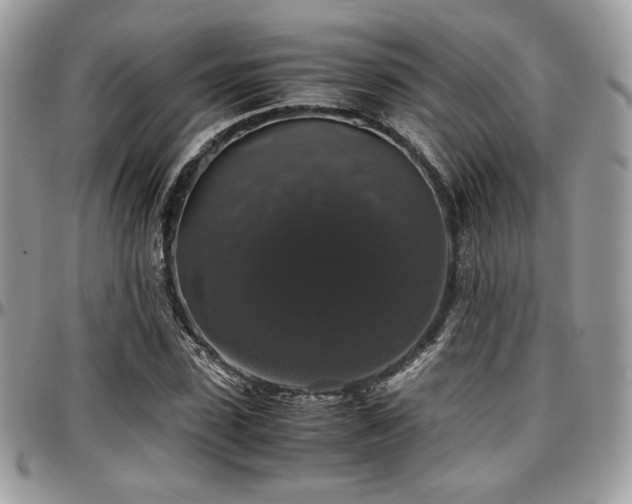 X0000097300923200802151435
