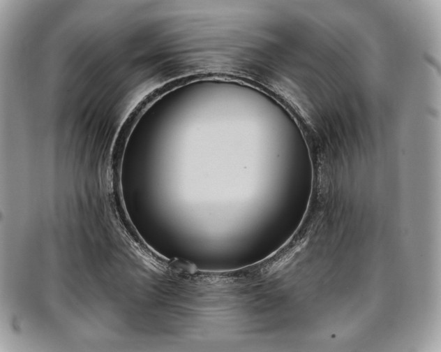 X0000097300924200802151435