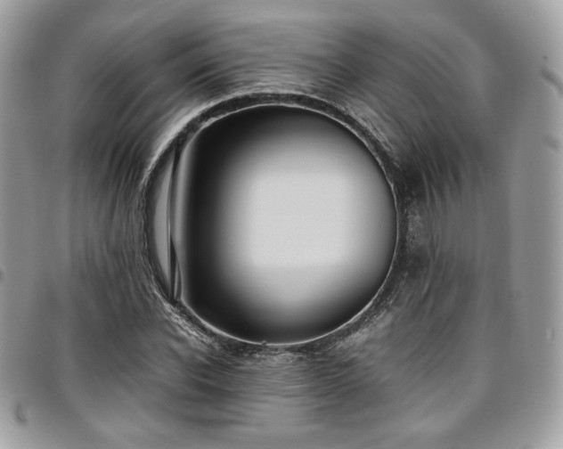 X0000097300926200802151435
