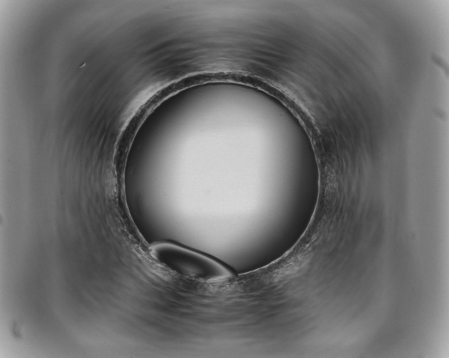 X0000097300927200802151435