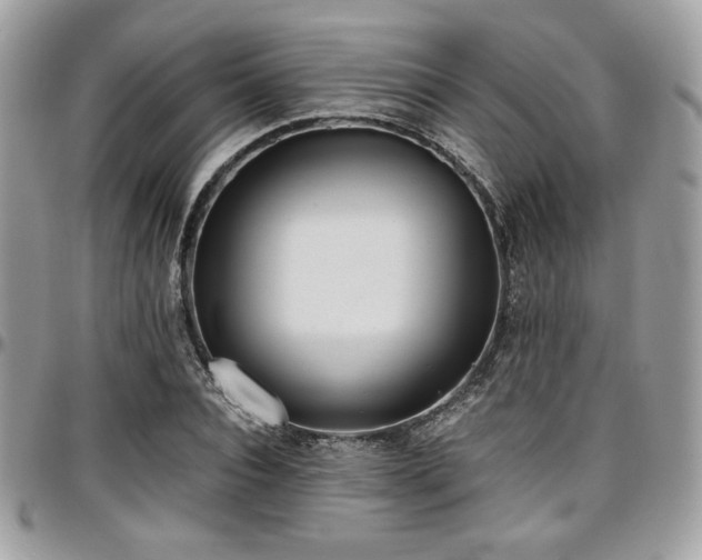 X0000097300928200802151435
