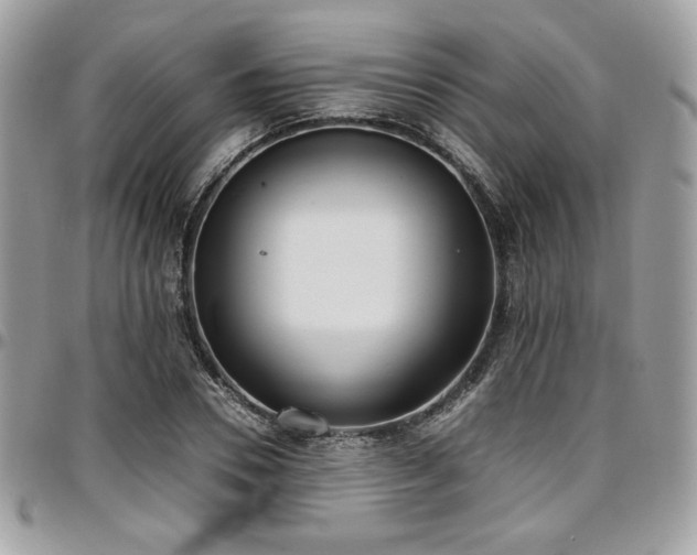 X0000097300930200802151435