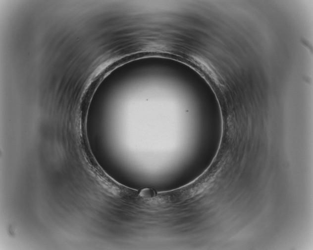 X0000097300931200802151435