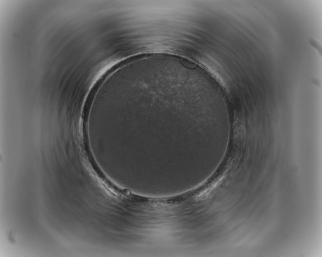 X0000097300932200802151435