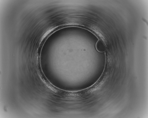 X0000097300933200802151435