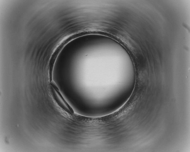 X0000097300934200802151435