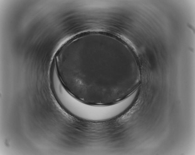 X0000097300935200802151435