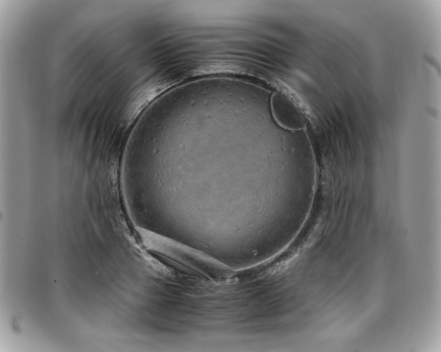X0000097300937200802151435