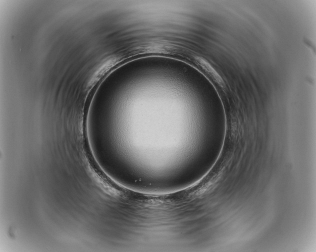 X0000097300938200802151435