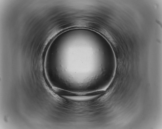 X0000097300939200802151435