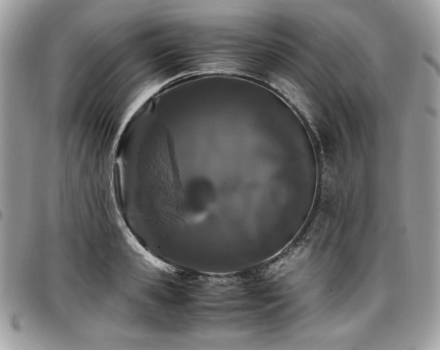 X0000097300941200802151435