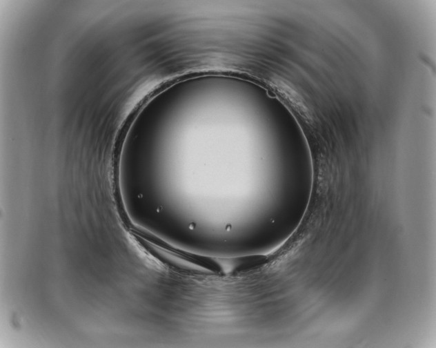 X0000097300942200802151435